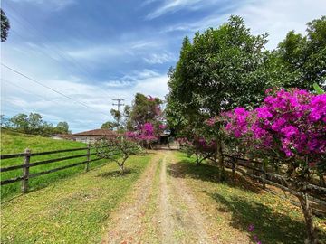 VENTA EXCELENTE FINCA 73 CUADRAS. 5 MINUTOS DE CIRCASIA