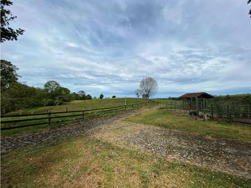 VENTA EXCELENTE FINCA 73 CUADRAS. 5 MINUTOS DE CIRCASIA
