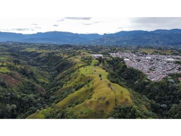 VENTA EXCELENTE FINCA 73 CUADRAS. 5 MINUTOS DE CIRCASIA