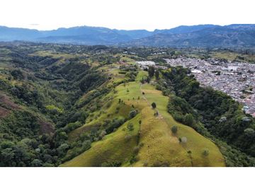 VENTA EXCELENTE FINCA 73 CUADRAS. 5 MINUTOS DE CIRCASIA