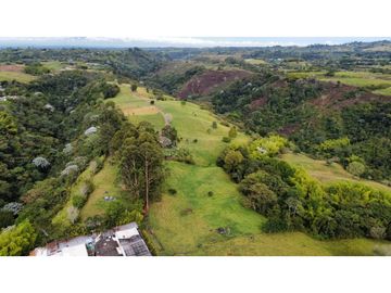 VENTA EXCELENTE FINCA 73 CUADRAS. 5 MINUTOS DE CIRCASIA