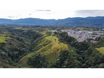 VENTA EXCELENTE FINCA 73 CUADRAS. 5 MINUTOS DE CIRCASIA