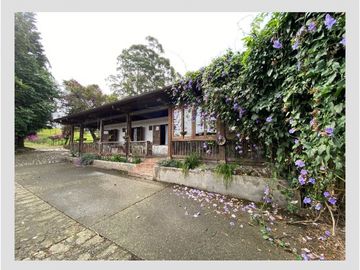 VENTA EXCELENTE FINCA 73 CUADRAS. 5 MINUTOS DE CIRCASIA