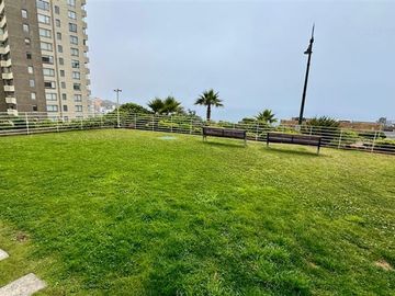 Departamento en Venta en Costa de Montemar Concon