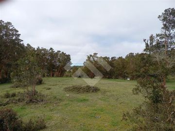 Parcela en Venta en Dao centro,Calbuco