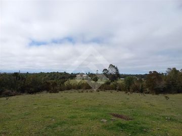 Parcela en Venta en Dao centro,Calbuco