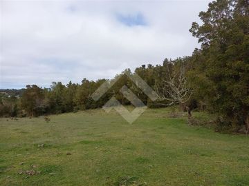 Parcela en Venta en Dao centro,Calbuco
