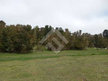 Parcela en Venta en Dao centro,Calbuco