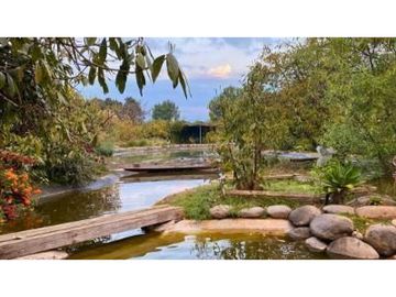 RANCHO CON HUERTA DE AGUACATE