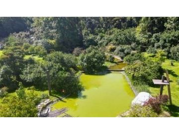 RANCHO CON HUERTA DE AGUACATE