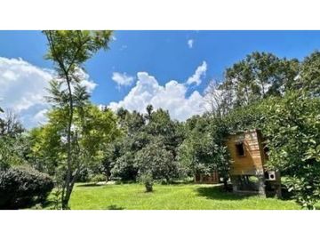 RANCHO CON HUERTA DE AGUACATE