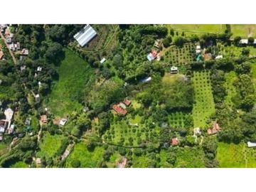 RANCHO CON HUERTA DE AGUACATE