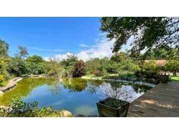 RANCHO CON HUERTA DE AGUACATE