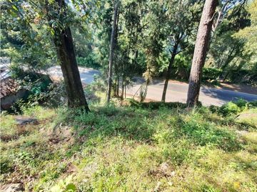 TERRENO EN VENTA, MONTE ALTO