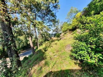 TERRENO EN VENTA, MONTE ALTO