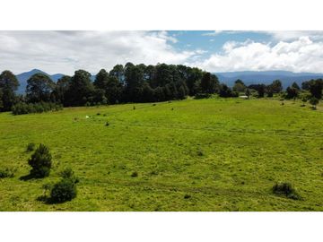 TERRENOS EN VENTA, LA CUADRILLA.