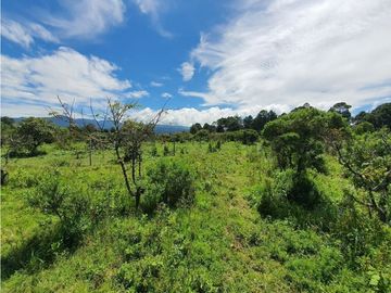 TERRENOS EN VENTA, LA CUADRILLA.
