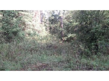 Terreno en venta, en Valle de Bravo