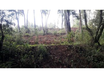 Terreno en venta, en Valle de Bravo