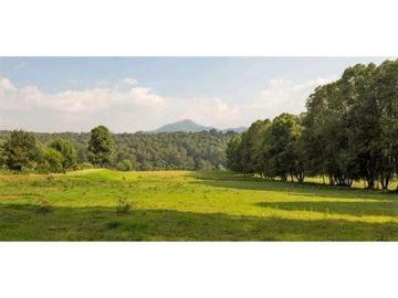 CARDO SANTO: Un Paraíso de Exclusivas Casas de Campo en Avándaro