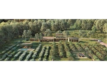 CARDO SANTO: Un Paraíso de Exclusivas Casas de Campo en Avándaro