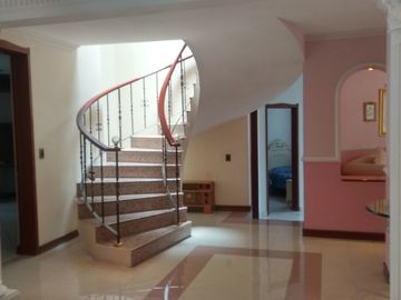PULGAS PANDAS NORTE CASA VENTA AGUASCALIENTES