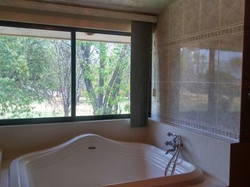 PULGAS PANDAS NORTE CASA VENTA AGUASCALIENTES