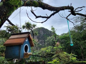 Hotel Boutique en Tepoztlán