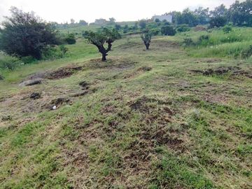 SE VENDE TERRENO DE 300 M2 UBICADO EN LA CONCEPCIÓN TEPOTZOTLÁN, MÉXICO.