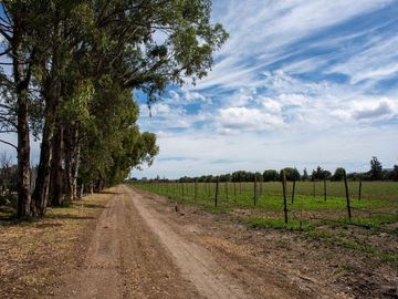 Venta de casa en Viñedos Santa Catarina