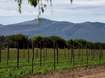 Venta de casa en Viñedos Santa Catarina