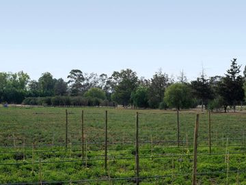 Venta de casa en Viñedos Santa Catarina