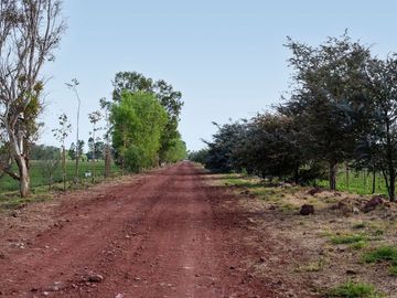 Venta de casa en Viñedos Santa Catarina