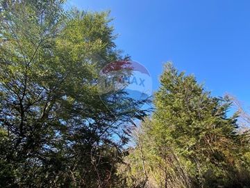 Parcela en venta, Pucón, Llancalíl