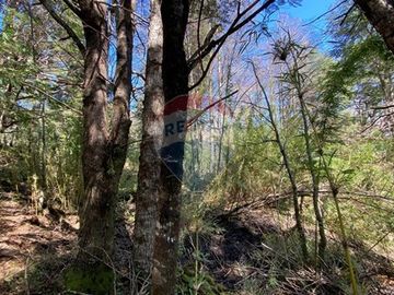 Parcela en venta, Pucón, Llancalíl