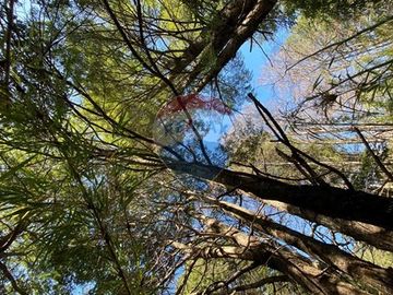 Parcela en venta, Pucón, Llancalíl