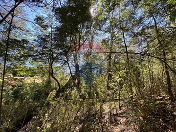 Parcela en venta, Pucón, Llancalíl