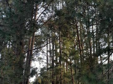 Excelente Terreno  En Venta B. Quebradas Villa Rural