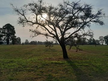 Excelente Terreno  En Venta B. Quebradas Villa Rural