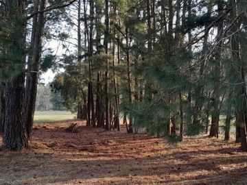 Excelente Terreno  En Venta B. Quebradas Villa Rural