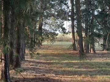 Excelente Terreno  En Venta B. Quebradas Villa Rural