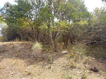 INVERSOR! VENDO Casi 7 hectáreas para lotear con 14 lotes y Chalet 3 dormitorios - 2 baños