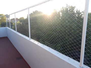 PH - Olivos