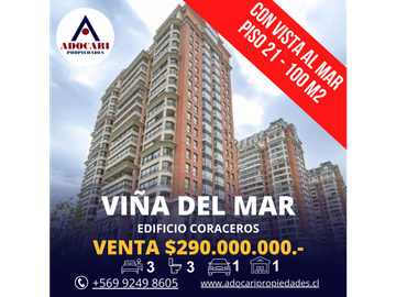 VIÑA DEL MAR / CORACEROS / HERMOSO Y GRAN DEPTO 3D 3B 1E 1B