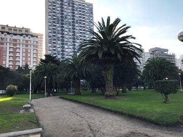 Venta  semipiso 3 Ambientes  c/dependencia - Plaza Colon