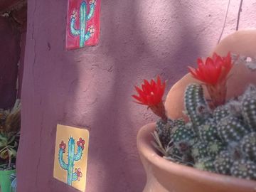 Cabañas Humahuaca