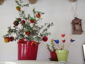 Cabañas Humahuaca