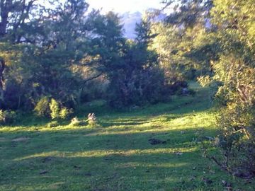 Hectárea en venta CHUBUT