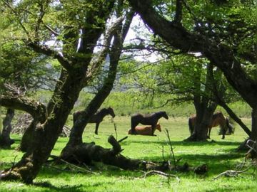 Hectárea en venta CHUBUT