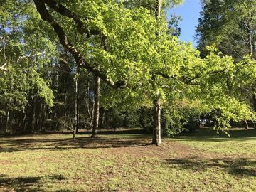 Casa en Venta en Lago Ranco, sector Calcurrupe